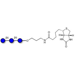 Gentiotriose DP3  linked to biotin