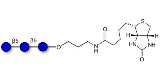 Gentiotriose DP3  linked to biotin