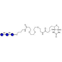 Gentiotriose DP3  linked to biotin