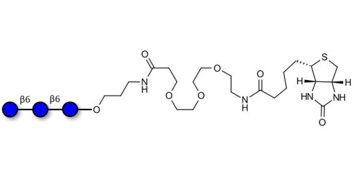 Gentiotriose DP3  linked to biotin