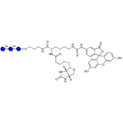 Gentiotriose DP3  linked to biotin