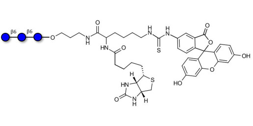 Gentiotriose DP3  linked to biotin