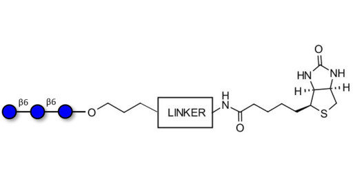 Gentiotriose DP3  linked to biotin with cleavable linker 