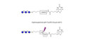 Gentiotriose DP3  linked to biotin with cleavable linker 