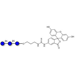 Gentiotriose DP3  linked to fluorescein