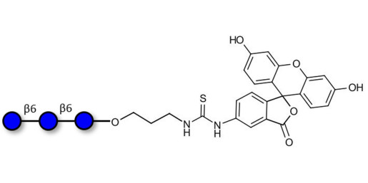 Gentiotriose DP3  linked to fluorescein