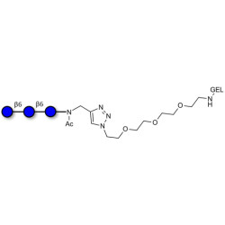 Gentiotriose DP3  grafted on gel for affinity chromatography