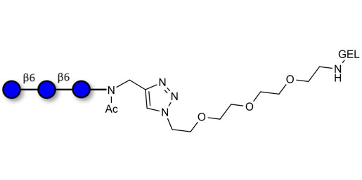 Gentiotriose DP3  grafted on gel for affinity chromatography