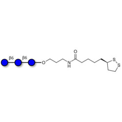 Gentiotriose DP3  with cyclic di-thiol