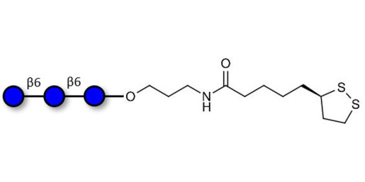 Gentiotriose DP3  with cyclic di-thiol