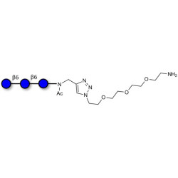 Gentiotriose DP3  with terminal amine