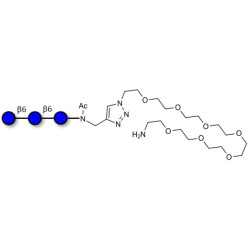 Gentiotriose DP3  with terminal amine