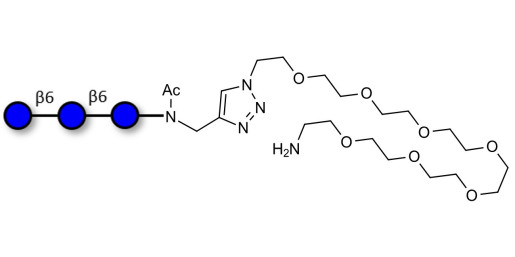 Gentiotriose DP3  with terminal amine