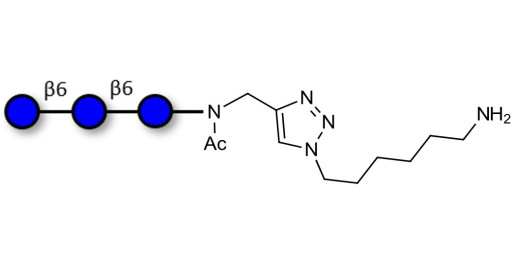 Gentiotriose DP3  with terminal amine