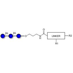 Gentiotriose DP3  with customizable dual functionalization