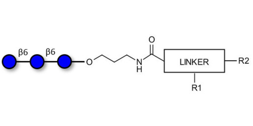 Gentiotriose DP3  with customizable dual functionalization