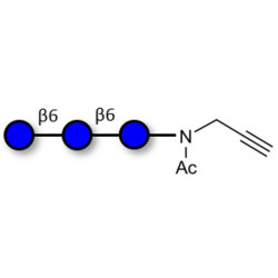 Gentiotriose DP3  with terminal alkyne