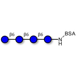 Gentiotetraose DP4 grafted on BSA