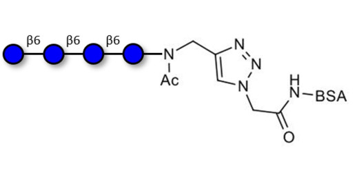 Gentiotetraose DP4 grafted on BSA