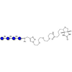 Gentiotetraose DP4 linked to biotin