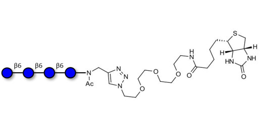Gentiotetraose DP4 linked to biotin