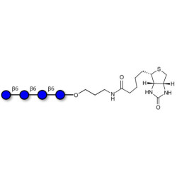 Gentiotetraose DP4 linked to biotin