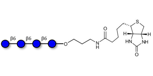 Gentiotetraose DP4 linked to biotin
