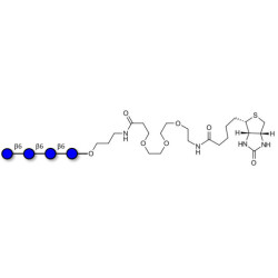 Gentiotetraose DP4 linked to biotin