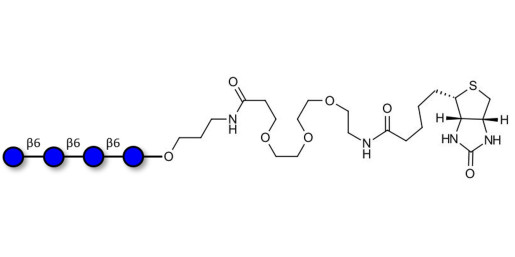 Gentiotetraose DP4 linked to biotin