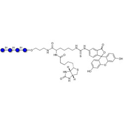 Gentiotetraose DP4 linked to biotin