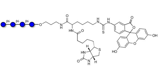 Gentiotetraose DP4 linked to biotin