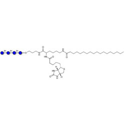 Gentiotetraose DP4 linked to biotin and fluorescein