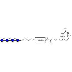 Gentiotetraose DP4 linked to biotin with cleavable linker 