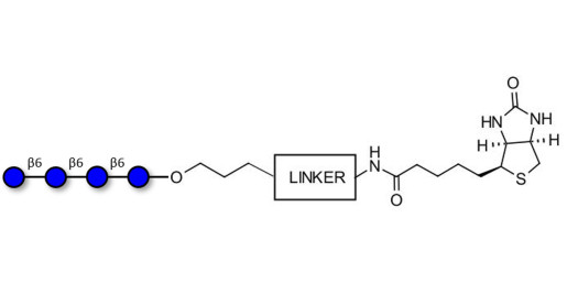 Gentiotetraose DP4 linked to biotin with cleavable linker 