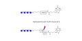 Gentiotetraose DP4 linked to biotin with cleavable linker 