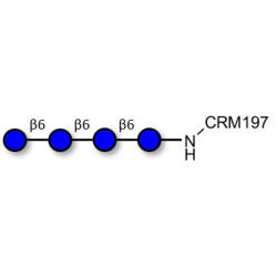 Gentiotetraose DP4 grafted on CRM197