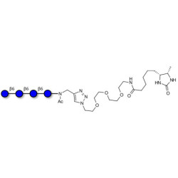 Gentiotetraose DP4 linked to desthiobiotin