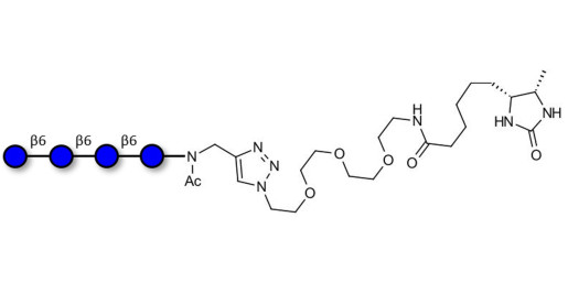 Gentiotetraose DP4 linked to desthiobiotin