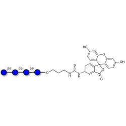 Gentiotetraose DP4 linked to fluorescein