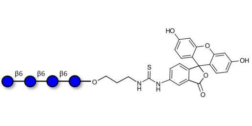 Gentiotetraose DP4 linked to fluorescein