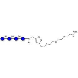 Gentiotetraose DP4 grafted on gel for affinity chromatography