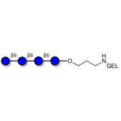 Gentiotetraose DP4 grafted on gel for affinity chromatography