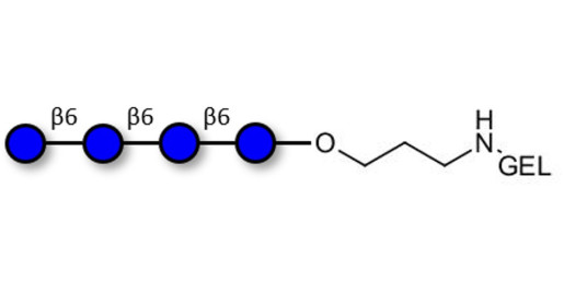 Gentiotetraose DP4 grafted on gel for affinity chromatography