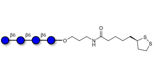 Gentiotetraose DP4 with cyclic di-thiol