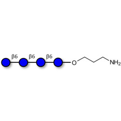 Gentiotetraose DP4 with terminal amine