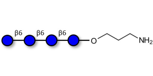 Gentiotetraose DP4 with terminal amine