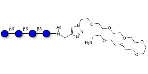 Gentiotetraose DP4 with terminal amine