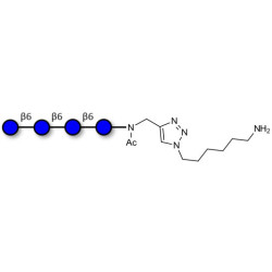 Gentiotetraose DP4 with terminal amine