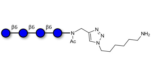 Gentiotetraose DP4 with terminal amine