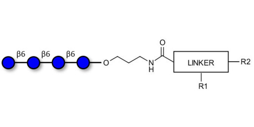 Gentiotetraose DP4 with customizable dual functionalization